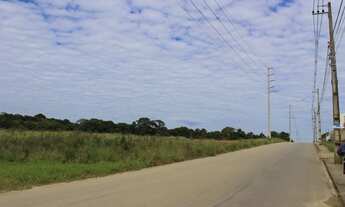 Imagem 5: FAZENDA RIO GRANDE - Terreno Padrão - Estados