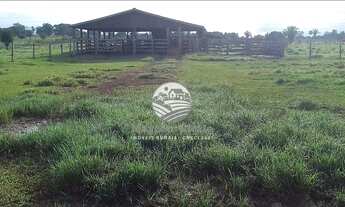 Imagem 6: Alto Paraíso - Sítio - 42 alqueires