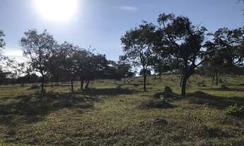 Imagem 6: Fazenda/Sítio/Chácara para venda possui * metros quadrados
