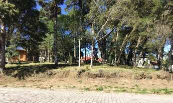 Imagem 4: Terreno no Centro de Canela!