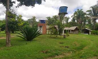 Imagem 3: Fazenda/Sítio/Chácara para venda possui 60000 metros quadrados com 3 quartos