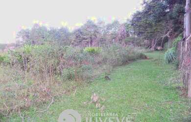 Imagem 7: IMOBILIARIA JUVEVÊ VENDE TERRENO EM PIRAQUARA, RUA FRANCISCO MUTI S//N