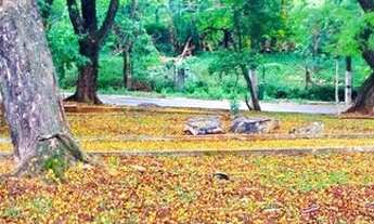 Imagem 5: Lote/Terreno para venda tem 784 metros quadrados em Jardim São Bento - São Paulo - SP