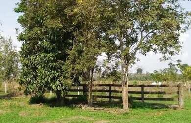 Imagem 6: Chácara com 27 alqueires próximo ao Balneário Rio Preto