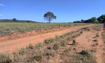 Imagem 5: Fazenda 140 Alqueires Dupla aptidão