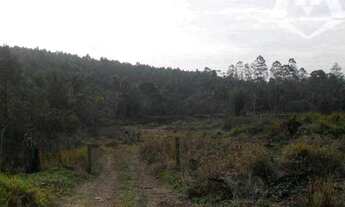 Imagem 5: Área à venda, 25360 m² por R$ 3.804.000,00 - Chácara Santa Mônica - Vargem Grande Paulista