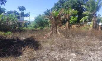 Imagem 5: Vendo terreno na entrada de Saubara