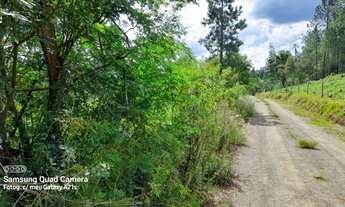 Imagem 4: Chácara à venda em Taquara RS