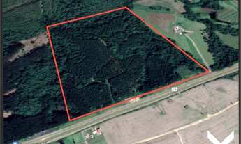 Imagem 2: Área no Pinheirinhos com 31,36 hectare