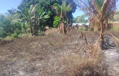 Imagem 3: Vendo terreno na entrada de Saubara