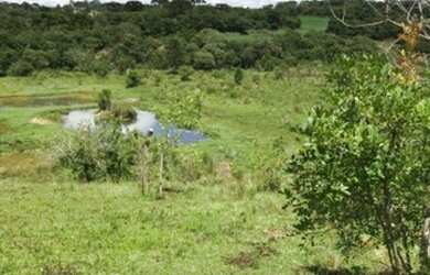 Imagem 7: Chacara Com 22.000 m/2 tanque de peixe