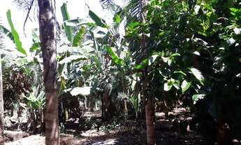 Imagem 15: Sítio de 31 hectares - 5KM de Água Fria