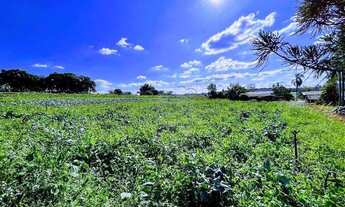 Imagem 2: Chácara Ibiporã