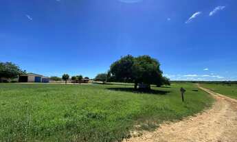 Imagem 2: Vendo 683 hectares serra do mel