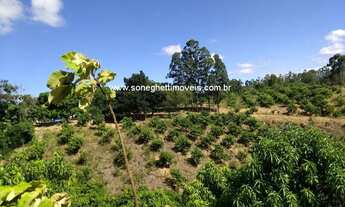 Imagem 2: Área no Xuri com 43.000 (quarenta e três mil metros) a 100 metros da 388 e a 25km do centr