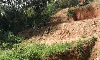 Imagem 4: Vendo chácara na região de Conselheiro Lafaiete