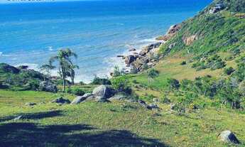 Imagem 2: Terreno à venda, 17400 m² por R$ 3.500.000,00 - Praia da Ferrugem - Garopaba/SC