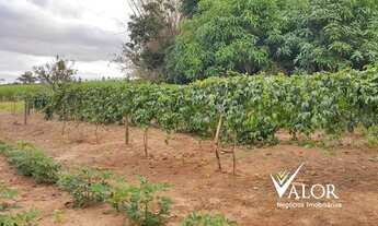 Imagem 5: Sítio beira da rodovia para venda próximo da cidade de Iacanga