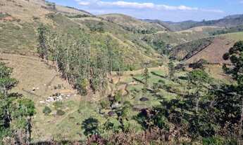 Imagem 2: Fazenda formada completa 142 alqueires com casa