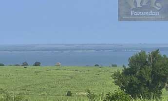 Imagem 3: Fazenda na Região de Presidente Epitácio / SP. 697 alqs