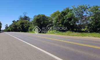 Imagem 6: PORTãO - Terreno Padrão - Rincão do Cascalho