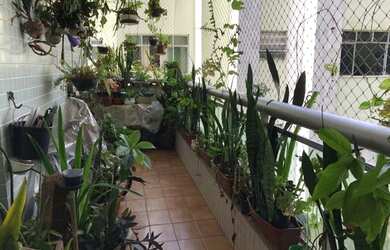 Imagem 4: Apartamento para venda possui 65 metros quadrados com 3 quartos em Jardim Guanabara