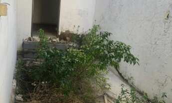 Imagem 2: Casa para fins residencial ou comercial na R. dos Radialistas - Pituba