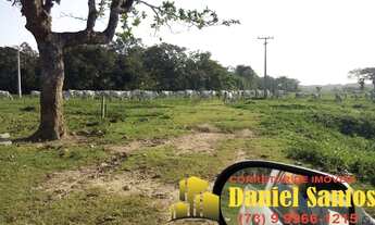 Imagem 2: FAZENDA RURAL em BELMONTE - BA, belmonte