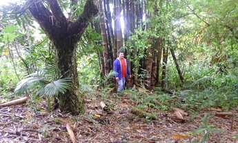 Imagem 4: Vende se chácara Px á pria