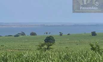 Imagem: Fazenda na Região de Presidente Epitácio