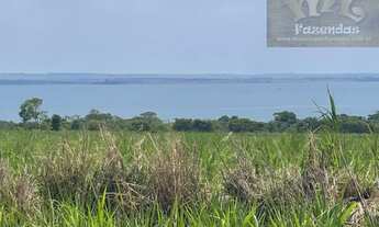 Imagem 2: Fazenda na Região de Presidente Epitácio / SP. 697 alqs