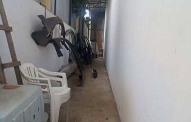 Imagem 3: MARAVILHOSO GALPÃO COMERCIAL