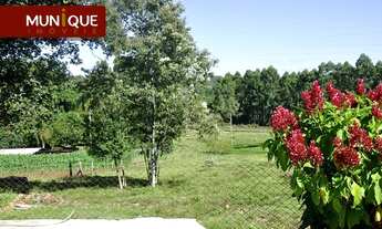 Imagem 7: Ivoti - Sítio - União