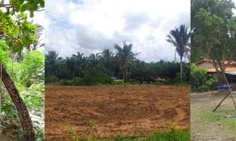 Imagem 2: Fazenda/Sítio/Chácara para venda possui 60000 metros quadrados com 3 quartos