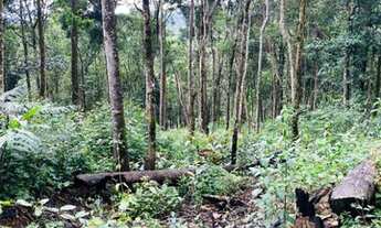 Imagem 5: Lotes condom?nio macacos