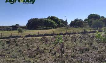 Imagem 7: Fazenda Com 600 Alqueires Localizada em Peixe to