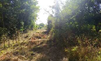 Imagem: Área com 13 hectares para sítios ou loteamentos