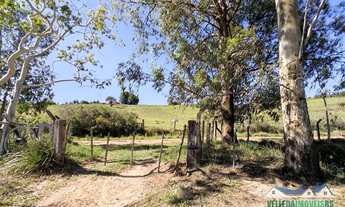 Imagem 5: Sítio 20 hectares, com casa, galpão alvenaria e açude em Águas claras
