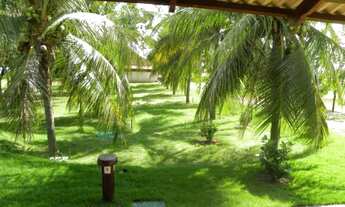 Imagem 5: Fazenda - São Miguel do Araguaia