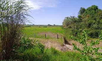 Imagem 4: Fazenda no vale do araguaia