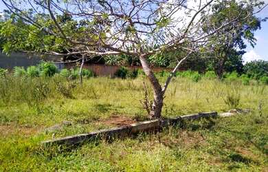 Imagem 5: ÁGIO CASA JARDIM INGÁ $25,MIL, LOTE VICENTE PIRES $100. MIL LOTE INCRA 35. MIL