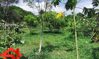 Imagem 4: SITIO RESIDENCIAL em SÃO JOSÉ DE RIBAMAR - MA, Panaquatira