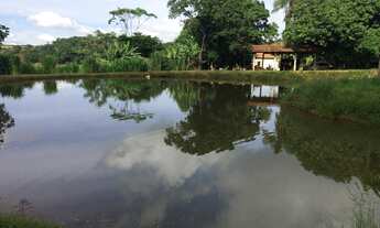 Imagem 2: Oportunidade! Excelente haras!