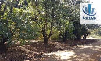 Imagem 5: Terreno à venda, 1006 m² - Rincão - Santo Antônio de Posse/SP