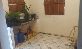 Imagem 5: Curió-Utinga - Belém - PA