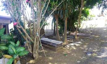 Imagem 2: Chácara no Incra 6, casa 4 Qtos, poço de pesca e árvores frutíferas