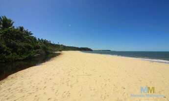 Imagem 2: Terreno em praia paradisíaca em Caraíva!