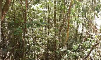 Imagem 2: Terreno à venda, 77346 m² por R$ 5.800.950,00 - São Sebastião das Águas Claras - Nova Lima