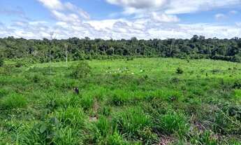 Imagem 6: TERRA SITIO FAZENDA