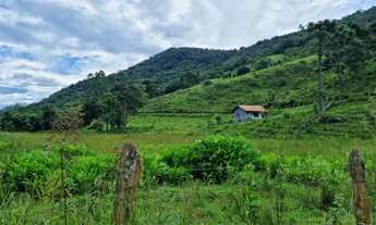 Imagem: Fazenda/Sítio/Chácara para venda tem 40